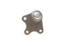 Опора кульова AUDI, SEAT, SKODA, VW передн. вісь (Вир-во Lemferder) LEMFORDER 25524 02 (фото 2)