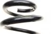 Пружины подвески ПРУЖИНА ПЕРЕДНЯЯ AUDI A6 2,7TDI QUATTRO/3,0TDI QUATTRO S-LINE 5/04-8/11 LESJOFORS 4004295 (фото 3)