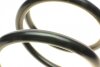 Пружини підвіски ПРУЖИНА ПЕРЕДНЯЯ KIA CARNIVAL/SEDONA 2,9 TD/2,9 CRDI 8/99-11/05 -ua LESJOFORS 4044211 (фото 2)