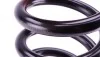 Пружина (передня) MB E-class (W210/S210) E200-220CDI/E240/320 96-03 (седан/унив.)(Classic/Ele (opt-om) LESJOFORS 4056839 (фото 4)