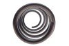 Пружина (передня) Renault Kangoo 1.5dCi/1.6/1.6 16V 08- (вен/фургон) (осн:Kangoo/ExpressMaxi/ (opt-om) LESJOFORS 4072984 (фото 3)