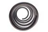 Пружина (передня) Renault Kangoo 1.5dCi/1.6/1.6 16V 08- (вен/фургон) (осн:Kangoo/ExpressMaxi/ (opt-om) LESJOFORS 4072984 (фото 3)