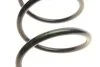 Пружина (передня) Seat Ibiza/Cordoba 1.4TDI/1.9SDI/TDI/2.0 02-09 (седан/хетчбек) (opt-om) LESJOFORS 4082928 (фото 2)