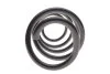 Пружина (передня) VW Caddy III 2.0TDI АКПП 10-15/IV 1.4TSI/1.6TDI/2.0TDI 15- (осн:Maxi) (opt-om) LESJOFORS 4095113 (фото 5)