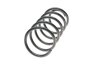 Пружина підв. задн. CHEVROLET LESJOFORS 4214206 (фото 5)