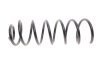 Пружини підвіски LESJOFORS 4215623 (фото 3)