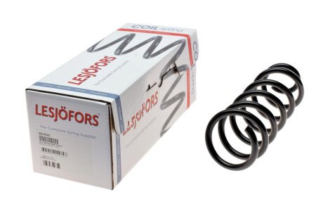 Пружина подв. задн. DACIA LESJOFORS 4217010