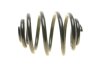 Пружина підв. задн. DAEWOO LESJOFORS 4217701 (фото 4)
