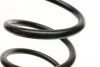 Пружина (задняя) Ford Mondeo 1.8-2.0 16V/2.0-2.2TDCi/2.5-3.0 V6 00-07 (унив.) (с сист.регул.до (opt-om) LESJOFORS 4227562 (фото 2)