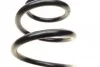 Пружина (задня) Seat Ibiza 1.9TDI 02-09 (накл.зад.ч)(ос.Sport,FR)/Skoda Fabia 1.2-1.4TDI 07-1 (opt-om) LESJOFORS 4282927 (фото 2)