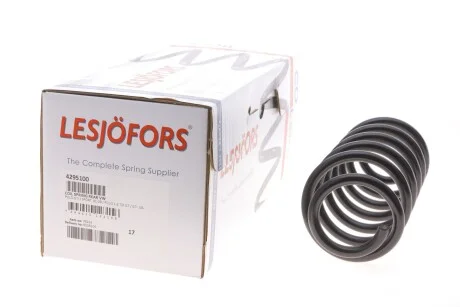 Пружина підвіски задн лів/прав SEAT IBIZA IV SC VW POLO IV, POLO V 1.2-1.9D 10.01-05.22 LESJOFORS 4295100