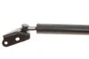 Амортизатор кришки багажника Mazda CX-7 06-14 (L) (SUV) (opt-om) LESJOFORS 8155460 (фото 2)