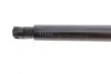 Амортизатор кришки багажника VW Tiguan 07-18 (SUV/фургон) (opt-om) LESJOFORS 8195068 (фото 3)