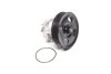 Насос водяний FIAT DOBLO 1.3D MULTIJET/OPEL MERIVA B 1.3 CDTI LPR WP0681 (фото 1)