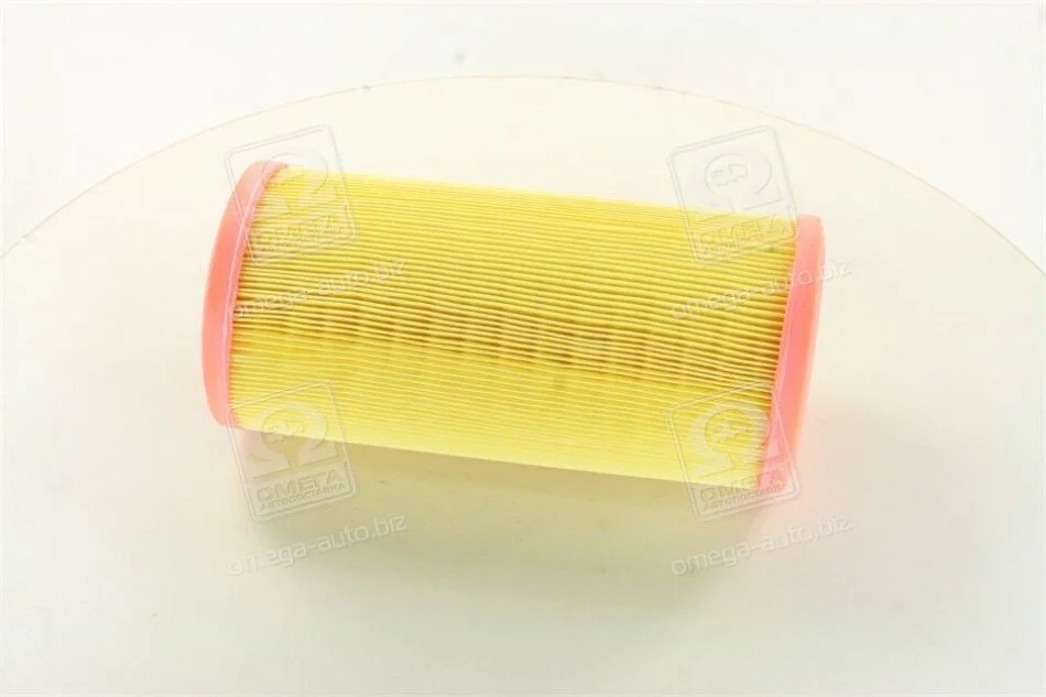 Фільтр повітряний RENAULT (вир-во M-Filter) M-FILTER A109 (фото 1)