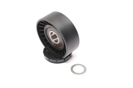 Натяжний ролик, поліклінового ремня BMW (Вир-во Magneti Marelli, кор. код MPQ0219) MAGNETI MARELLI 331316170219