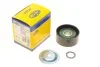 Ведучий ролик, клинового ремня CITROEN, PEUGEOT (Вир-во Magneti Marelli, кор. код MPQ0384) MAGNETI MARELLI 331316170384 (фото 1)
