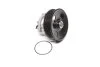 Водяний насос (Вир-во Magneti Marelli кор.код. 81862) MAGNETI MARELLI 350981862000 (фото 1)