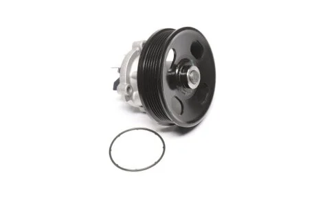 Водяной насос (пр-во Magneti Marelli кор.код. 81862) MAGNETI MARELLI 350981862000