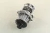 Водяний насос (Вир-во Magneti Marelli кор.код. WPQ0038) C.I.U MAGNETI MARELLI 352316170038 (фото 4)
