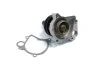 Водяний насос (пр-во Magneti Marelli кор.код. WPQ0062) MAGNETI MARELLI 352316170062 (фото 1)