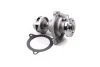 Водяний насос (Вир-во Magneti Marelli кор.код. WPQ0172) MAGNETI MARELLI 352316170172 (фото 1)