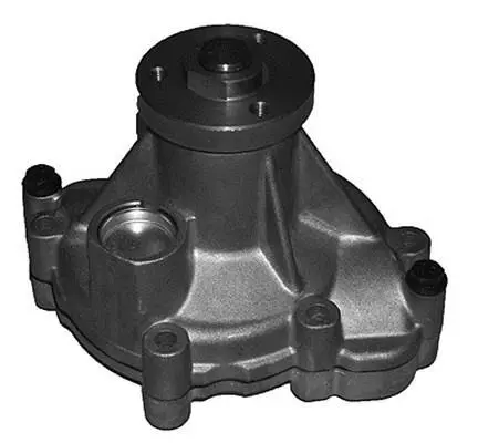 Водяной насос (вир-во Magneti Marelli кор.код. WPQ0278) MAGNETI MARELLI 352316170278 (фото 1)