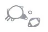 Водяний насос (Вир-во Magneti Marelli кор.код. WPQ0556) MAGNETI MARELLI 352316170556 (фото 5)