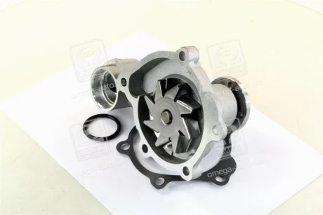 Водяний насос (Вир-во Magneti Marelli кор.код. WPQ0591) MAGNETI MARELLI 352316170591