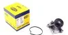 Водяний насос (Вир-во Magneti Marelli кор.код. WPQ0668) MAGNETI MARELLI 352316170668 (фото 1)