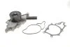 Водяной насос (пр-во Magneti Marelli кор.код. WPQ0691) MAGNETI MARELLI 352316170691 (фото 1)