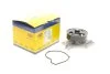 Водяний насос (Вир-во Magneti Marelli кор.код. WPQ0758) C.I.U MAGNETI MARELLI 352316170758 (фото 1)