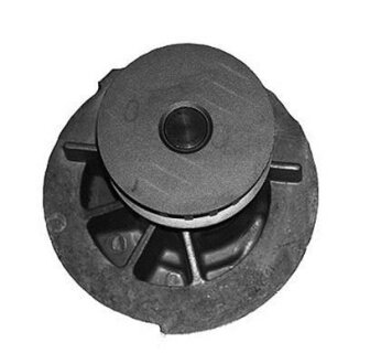 Помпа системи охолодження MAGNETI MARELLI 352316170875