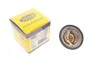 MAGNETI MARELLI 352317100930 (фото 1)