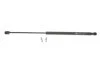Газова пружина MAGNETI MARELLI 430719006000 (фото 1)