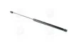 Амортизатор багажника MITSUBISHI (пр-во Magneti Marelli кор.код. GS0349) C.I.U MAGNETI MARELLI 430719034900 (фото 1)