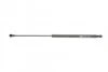 Амортизатор кришки багажника Audi A3 03-12 (Хетчбек) (GS0460) (opt-om) MAGNETI MARELLI 430719046000 (фото 5)