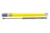 Амортизатор багажника NISSAN QASHQAI (J10E) (вир-во Magneti Marelli кор.код. GS0956) C.I.U MAGNETI MARELLI 430719095600 (фото 1)