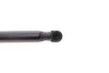 Амортизатор крышки багажника Citroen Berlingo1.6/1.6HDi 08- (GS1018) (opt-om) MAGNETI MARELLI 430719101800 (фото 2)