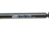 Амортизатор кришки багажника VW Passat (362) 10-14 (GS1119) (opt-om) MAGNETI MARELLI 430719111900 (фото 4)