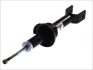 Амортизатор задн лів/прав HONDA ACCORD IV, ACCORD V, ACCORD VI, CIVIC IV, CIVIC V, CR-V I, CR-V II, CRX II, CRX III 1.2-2.4 09.87-09.06 MAGNUM TECHNOLOGY AG4010MT (фото 1)