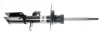 Амортизатор передн лів BMW X5 (E53) 3.0-4.6 01.00-12.06 MAGNUM TECHNOLOGY AGB069MT (фото 3)