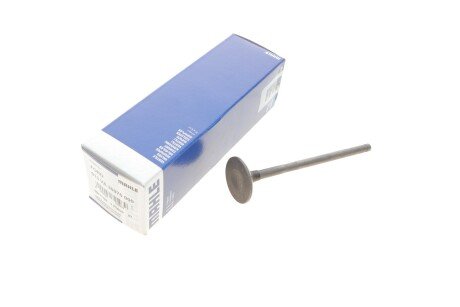 Клапан (випуск) Ford Focus 1.8i 03-12 MAHLE (opt-om) MAHLE / KNECHT 013 VA 30975 000