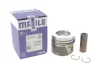 Поршень VAG 81.25 CAAA/CAAC/CAAD/CAGA/CAGB/CAGC/CAHA/CAHB/CBAA/CBAB/CBAC/CBBA/CBBB/CBDA/CBDB/ MAHLE / KNECHT 028 PI 00100 001 (фото 2)
