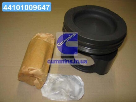 Поршень RVI Dxi 11 Eu4/5 123.01mm (Mahle) MAHLE / KNECHT 209 73 00