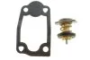 Термостат Citroen Jumper/Fiat Ducato/Peugeot Boxer 3.0HDI 06- MAHLE UA63 MAHLE / KNECHT TX 266 79D (фото 1)