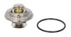 Термостат AUDI; FORD; PORSCHE; VW (вир-во Mahle) TX 30 80 D MAHLE / KNECHT TX 30 80D (фото 1)