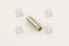 Напрямна клапана IN/EX RENAULT F3P/F3R/F8Q (вір-во) Metelli 01-2582 (фото 1)