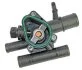 Термостат RENAULT/OPEL/ 83°C METZGER 4006139 (фото 3)