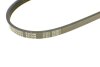Ремінь генератора поліклиновий MEYLE 050 004 0665 (фото 3)